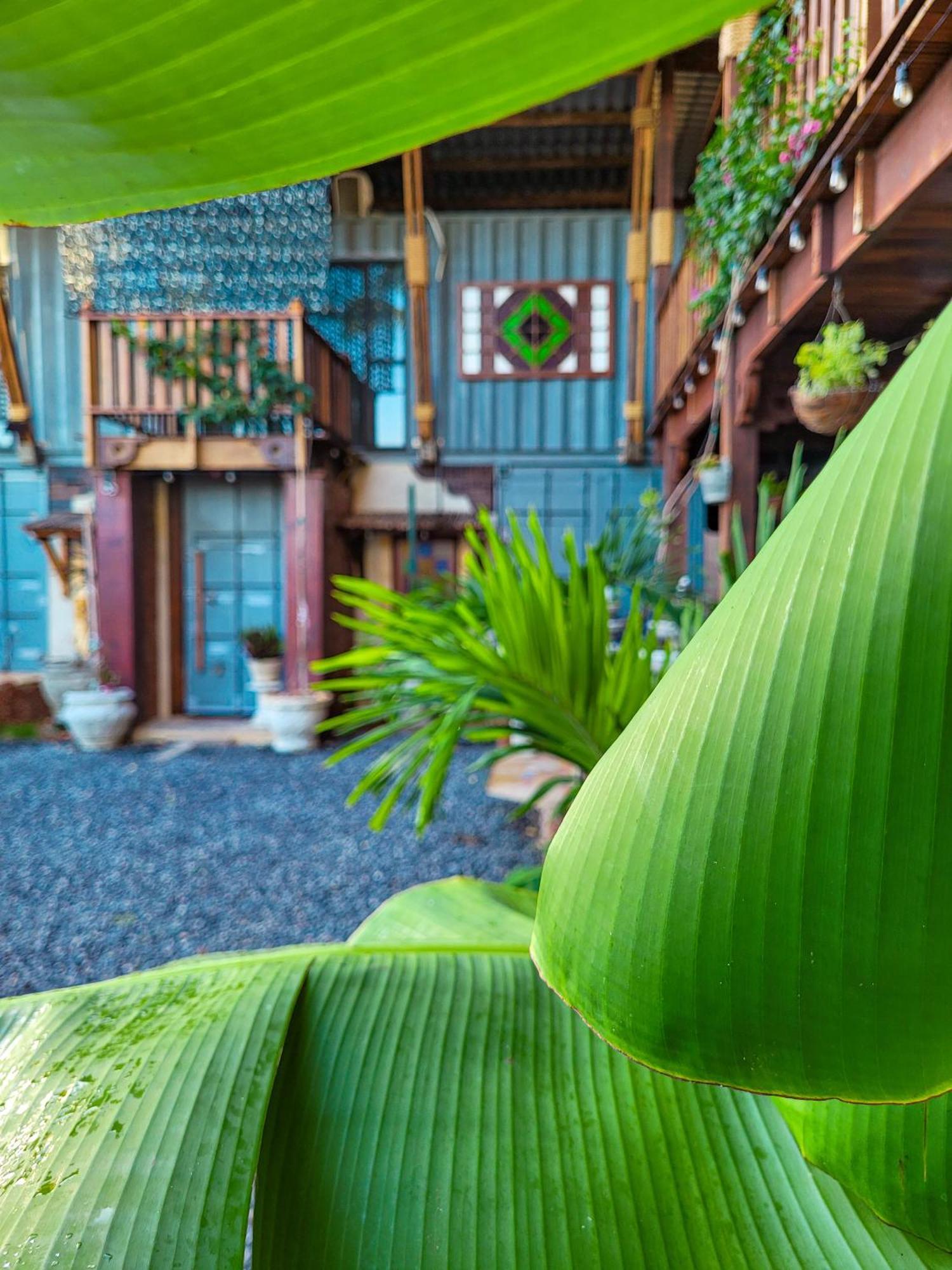 Villa Micasa Pôrto das Galinhas Exterior foto